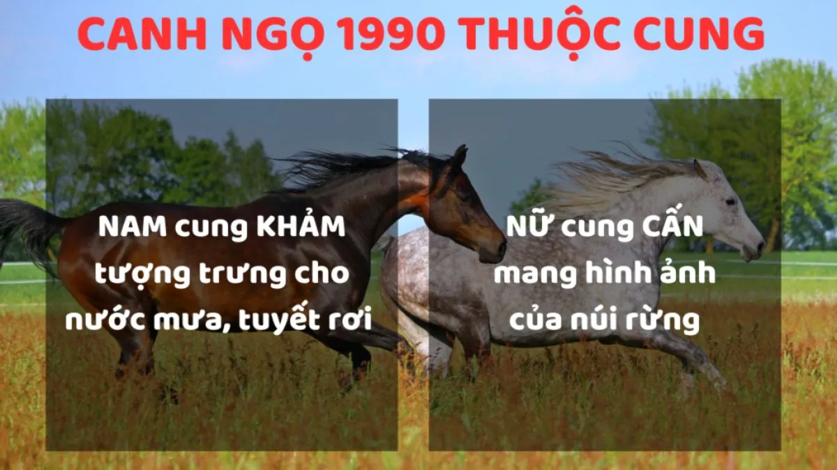 Bố trí hướng nhà dựa trên phân tích 1990 là tuổi con gì