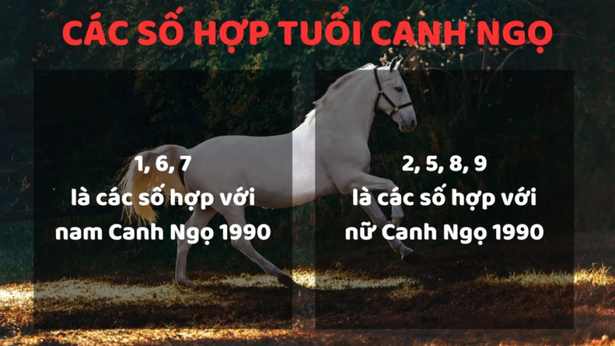 Dự báo vận hạn dựa trên phân tích 1990 là tuổi con gì
