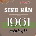 Sinh năm 1961 mệnh gì?