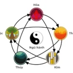 Mệnh Mộc là gì?