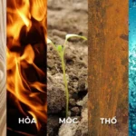 Mệnh Thổ là gì?