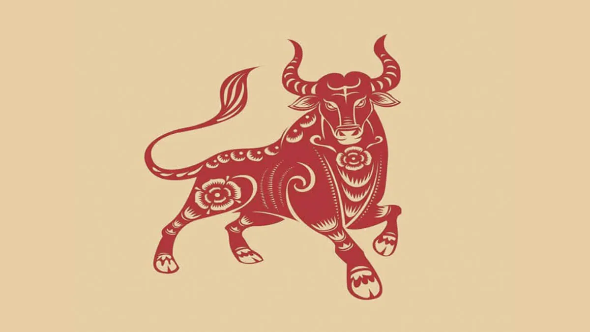 Sinh năm 2009 mệnh gì và bao nhiêu tuổi