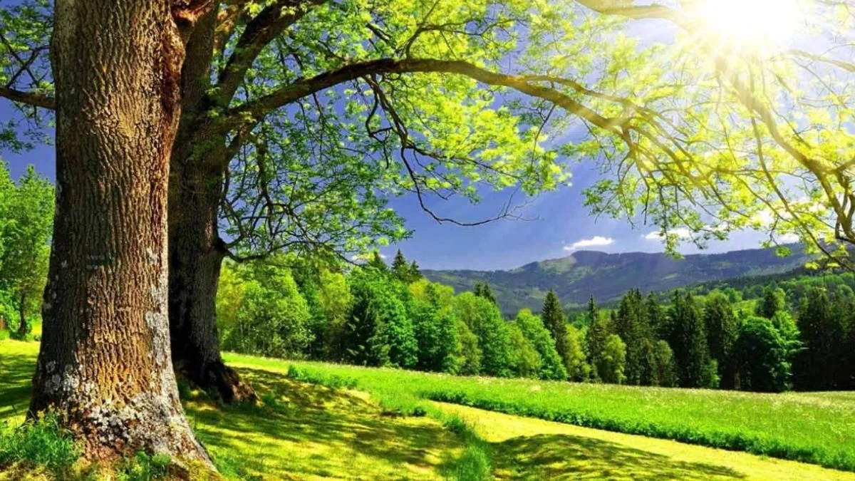 Người sinh năm 2010 thuộc tuổi Dần (Hổ)