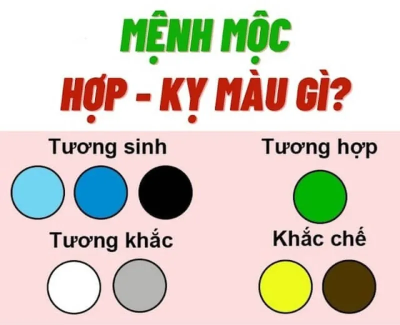 Màu sắc hợp với người sinh 2011