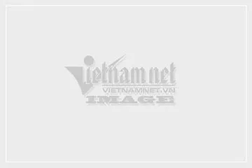 Phân tích chi tiết quy luật khắc chế khi tìm hiểu mệnh kim hợp xe màu gì