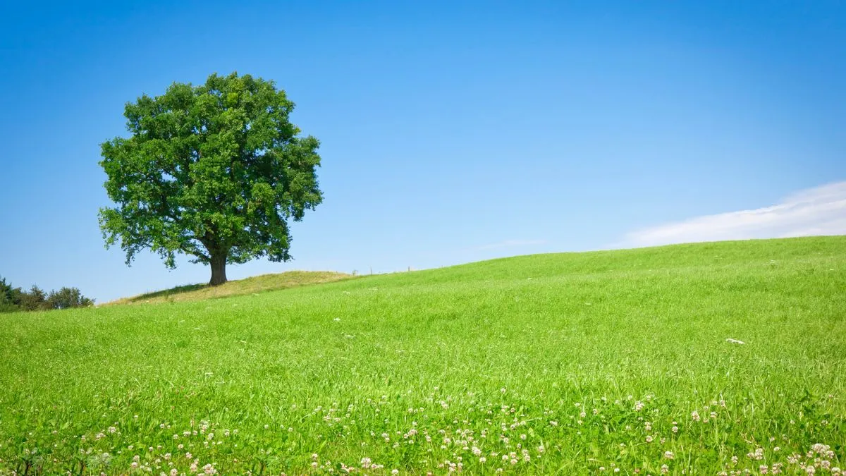 Năm sinh 2018 mệnh gì