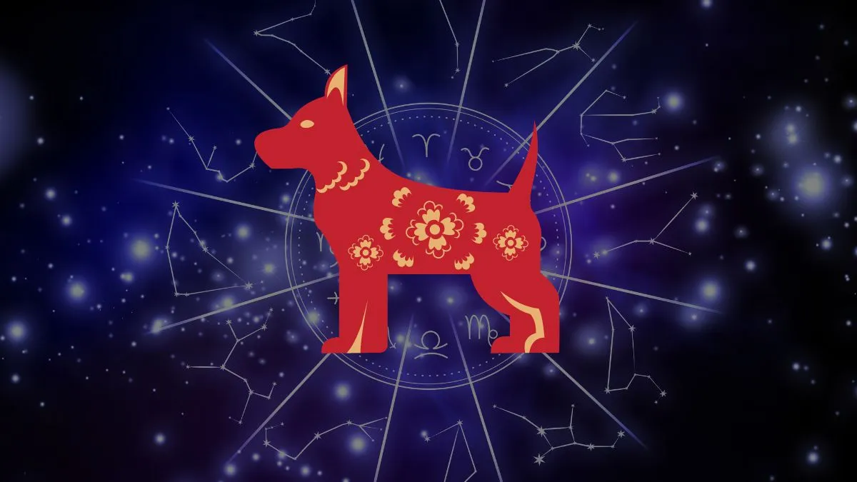 Năm sinh 2018 mệnh gì và tuổi gì