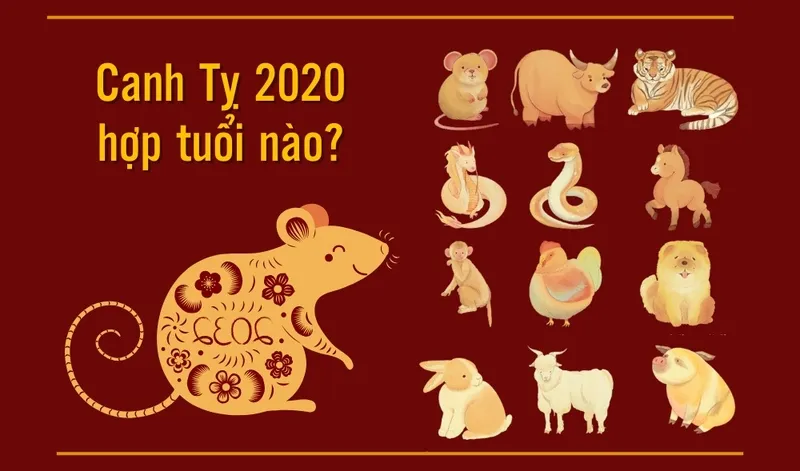 Tuổi hợp và kỵ