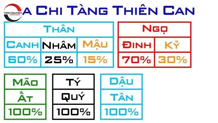 Tàng chứa của thiên can