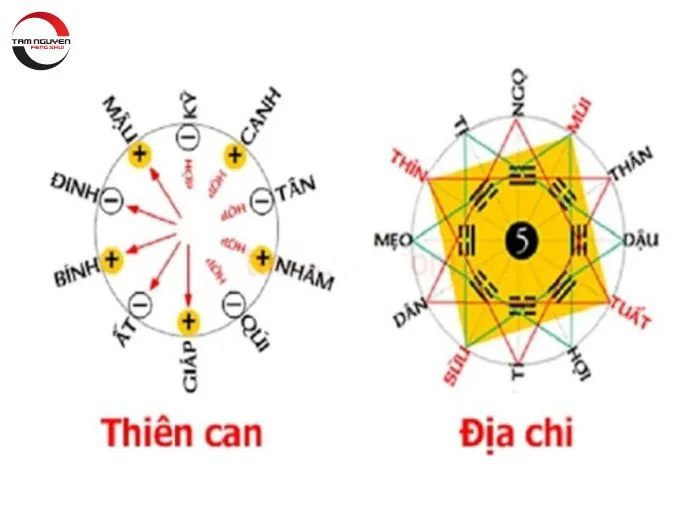 Thiên can địa chi