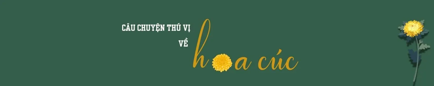 Bình hoa cúc cần có kích thước cân đối, hài hòa với bát hương và các vật phẩm thờ cúng khác.