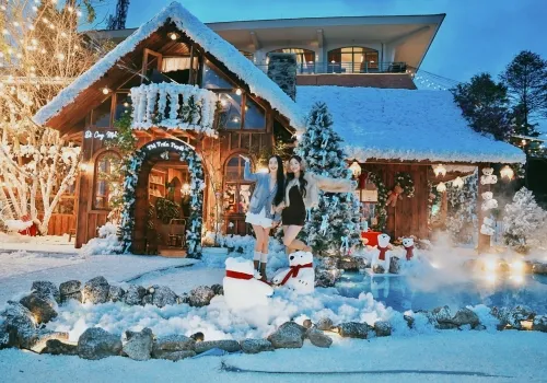 Tour lặn ngắm san hô Phú Quốc 1 ngày - Khám phá vẻ đẹp đại dương đảo Ngọc