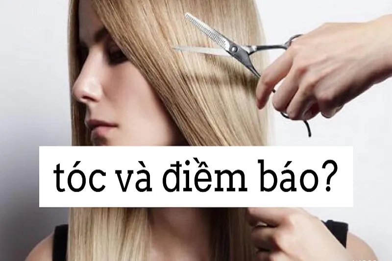 Nằm mơ thấy rụng tóc là điềm gì? Giải mã chi tiết năm 2026 16 Nằm mơ thấy cắt tóc là điềm báo về sự thay đổi trong cuộc sống