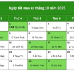 Bảng danh sách các ngày tốt tháng 10 mua xe năm 2026 cho gia chủ