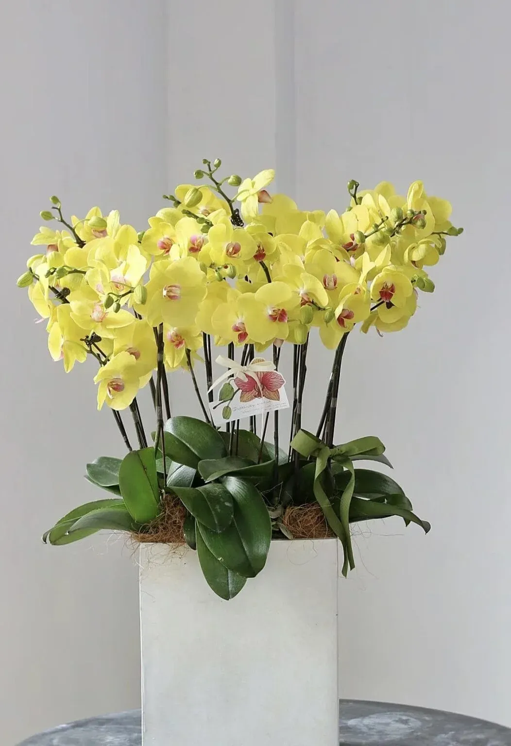 Vòng tay phối hoa đá cho người mệnh Mộc