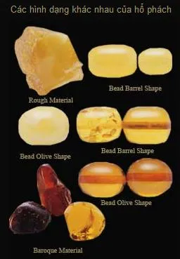 Đa dạng hình dáng và sắc độ của hổ phách xử lý nhiệt