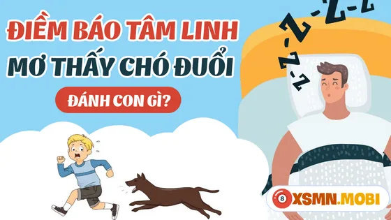 Nằm Mơ Thấy Chó Đuổi Đánh Con Gì? Bảng Số May Mắn Chuẩn Nhất 10 Bảng số đánh đề khi mơ thấy chó đuổi