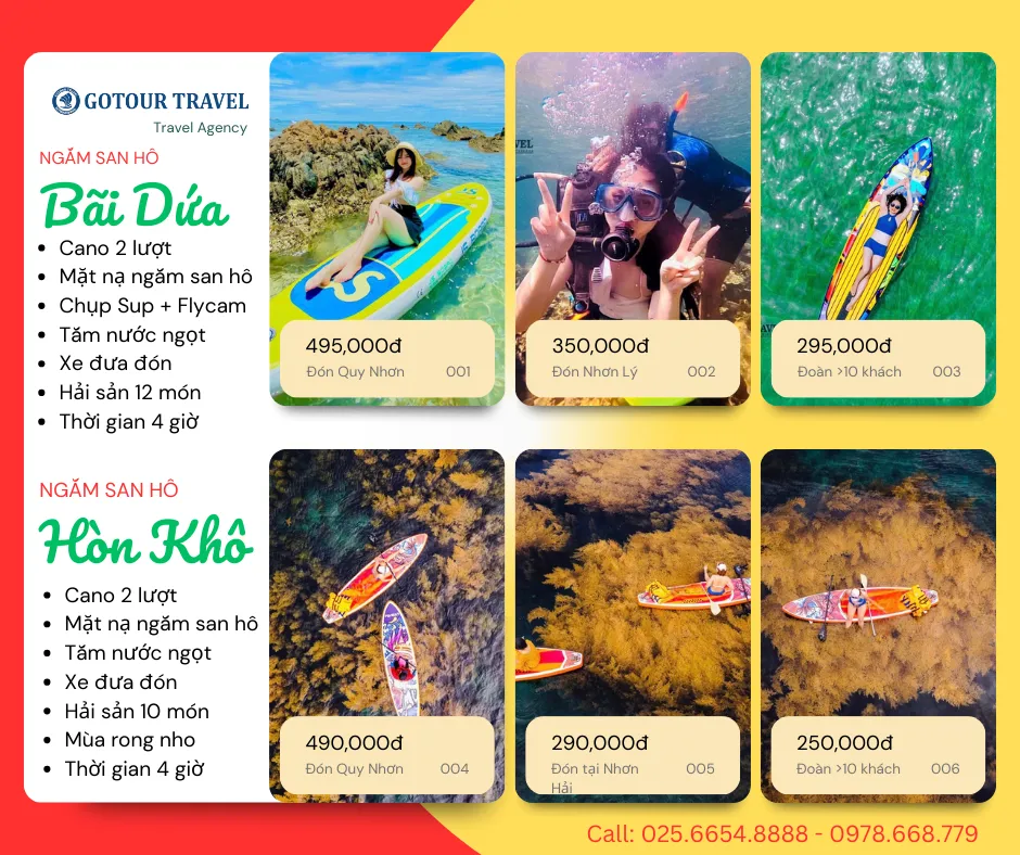 Top 3 tour lặn ngắm san hô Quy Nhơn 2026: Kinh nghiệm & Báo giá 15 Tour lặn biển ngắm san hô tại Quy Nhơn