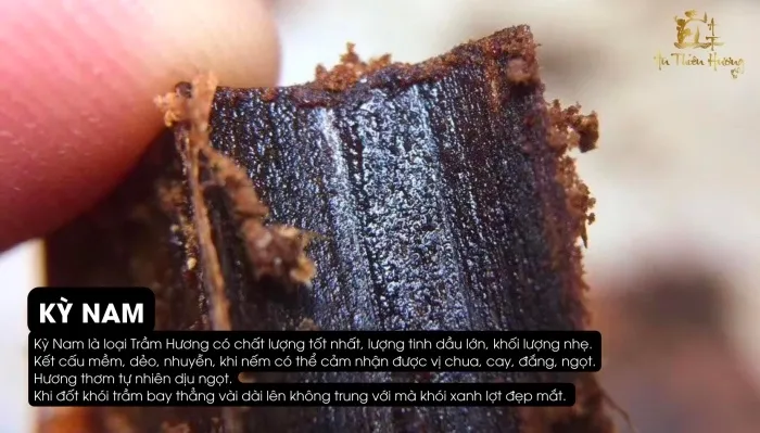 Kỳ Nam – Trầm Hương tự nhiên cao cấp hội tụ tinh hoa đất trời