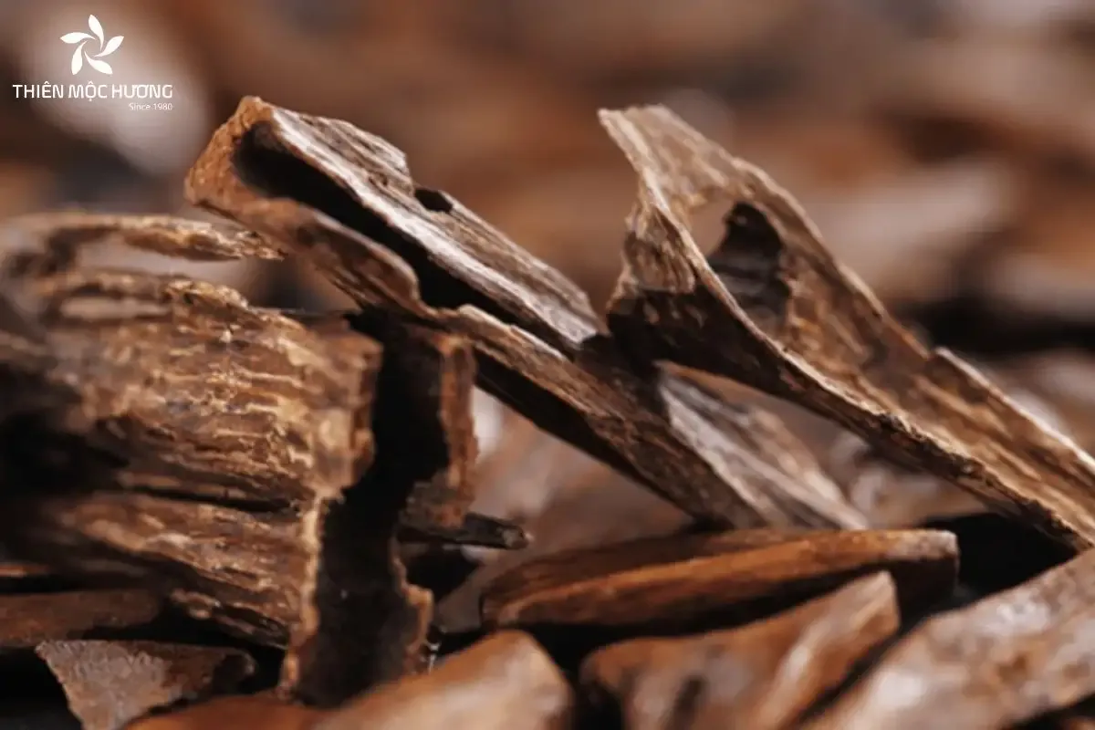 Nghiệm thu chất lượng gỗ trầm để phân bổ mức giá hợp lý