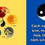 Cách xem mệnh kim mộc thủy hỏa thổ theo năm sinh