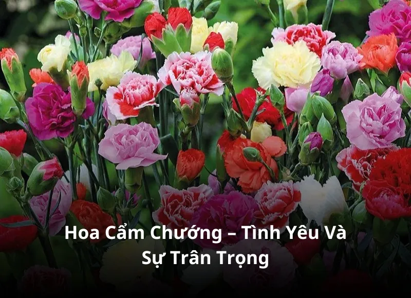 Chưng hoa bàn thờ ngày cưới bằng hoa cẩm chướng thanh lịch