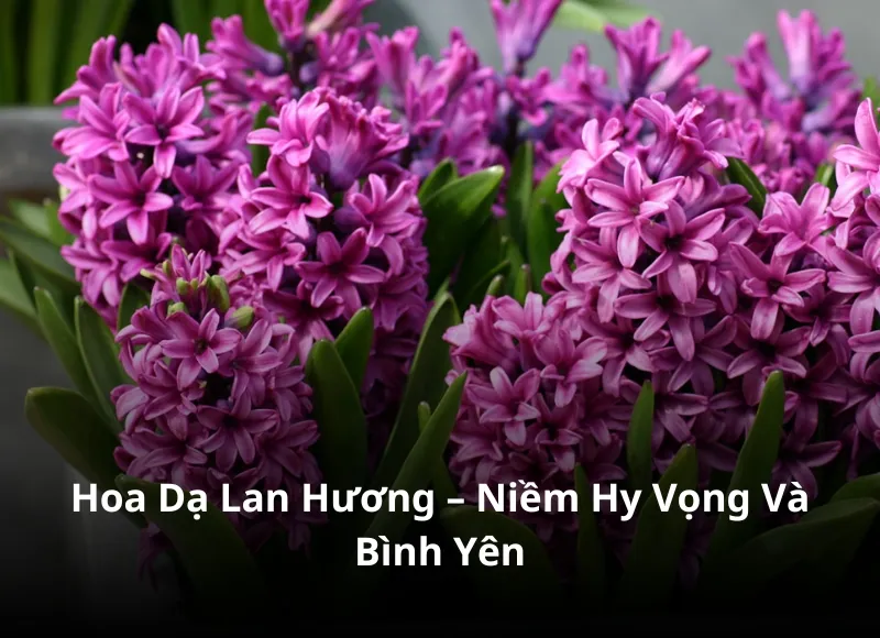 Chưng hoa bàn thờ ngày cưới với hoa dạ lan hương thanh khiết