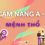 Cẩm nang tử vi mệnh Thổ toàn diện