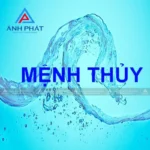 Cây phong thủy mệnh Thủy trên bàn làm việc với lá xanh mướt