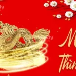 Tổng quan về tuổi Mậu Thìn 1988