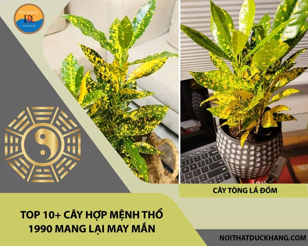 Tòng Lá Đốm với sắc vàng chủ đạo bổ trợ cực tốt cho nạp âm Lộ Bàng Thổ