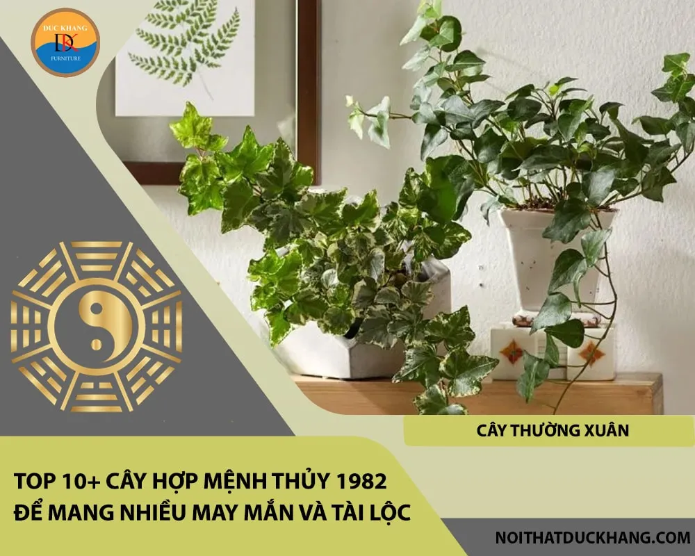 Alt: Dây Thường Xuân xanh mát leo bám trên kệ gỗ. Chú thích: Thường Xuân mang lại sự may mắn kéo dài và năng lượng tươi trẻ cho không gian sống của tuổi 1982.