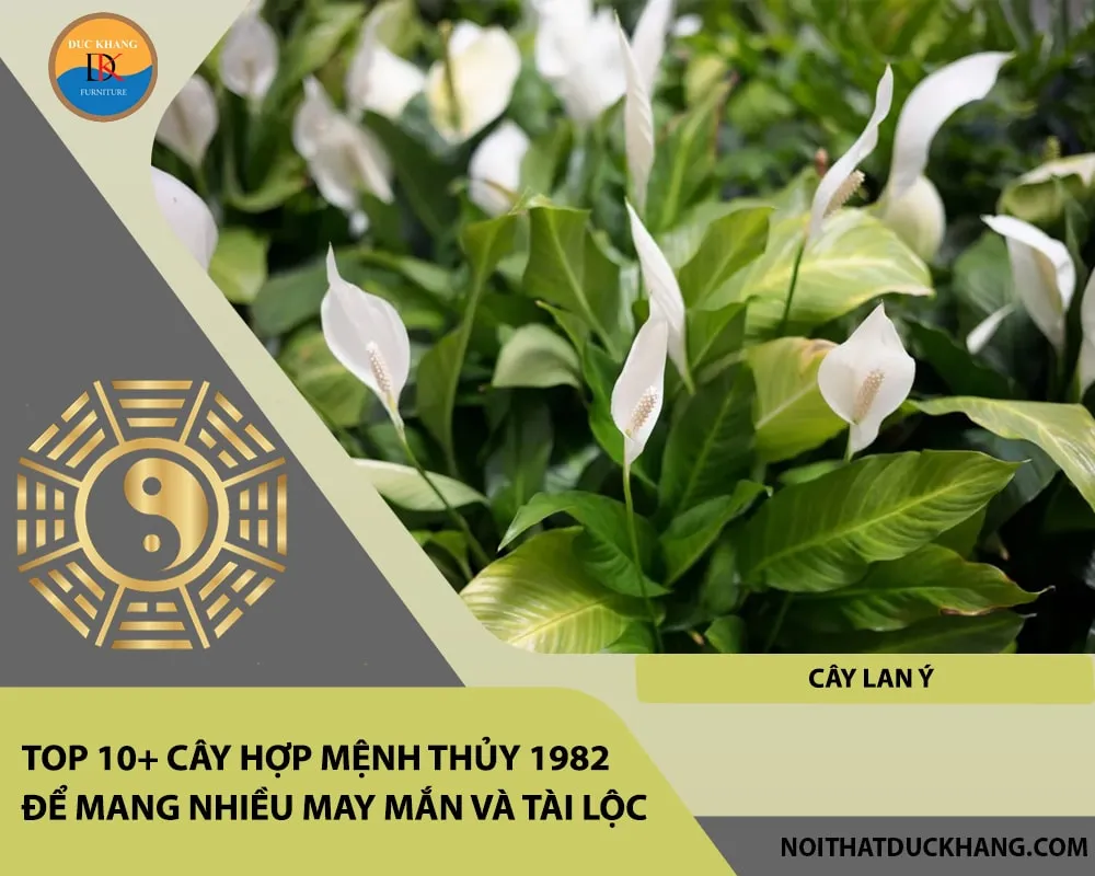 Alt: Cây Lan Ý ra hoa trắng nổi bật trên nền lá xanh đậm. Chú thích: Hoa Lan Ý tượng trưng cho sự khởi đầu thuận lợi và sự viên mãn trong sự nghiệp của tuổi Nhâm Tuất.