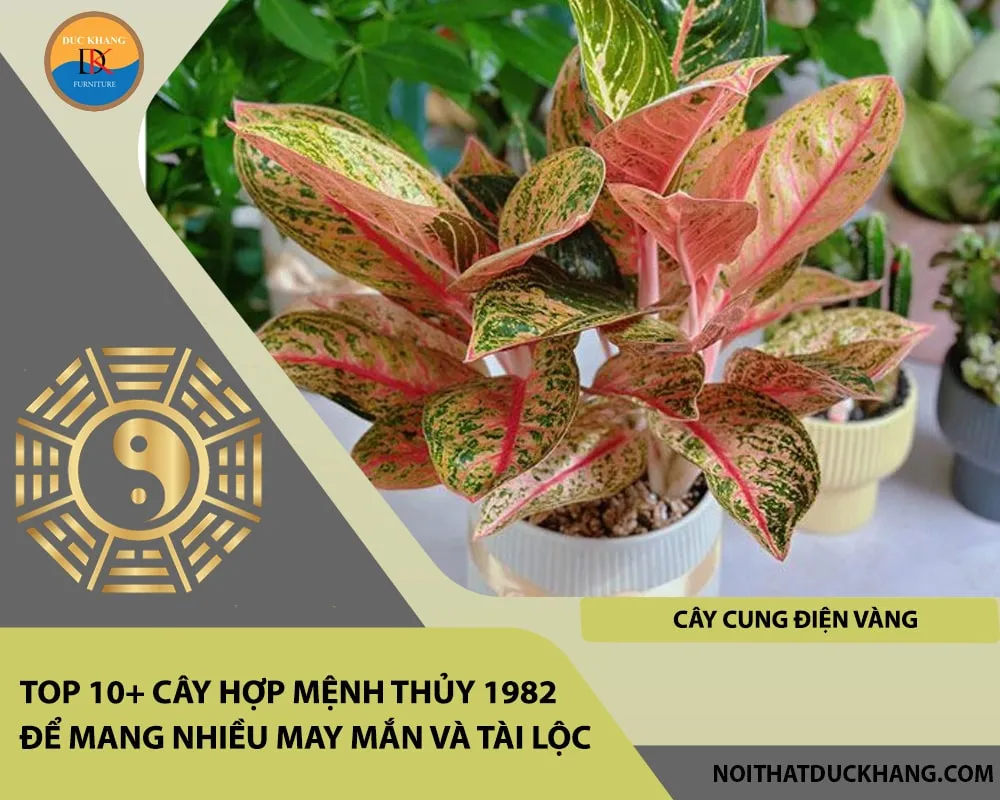 Alt: Cây Cung Điện Vàng với họa tiết lá độc đáo, xen lẫn sắc vàng hoàng kim. Chú thích: Trồng Cung Điện Vàng giúp người mệnh Thủy tăng cường vận may về tài chính và địa vị xã hội.