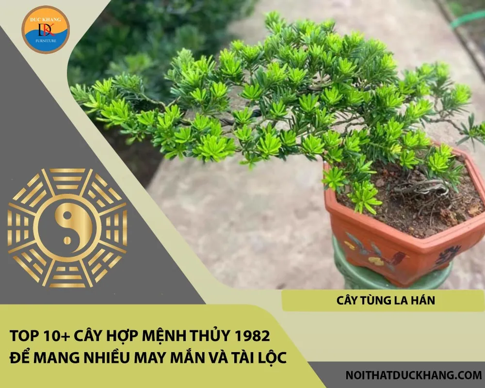 Alt: Bonsai Tùng La Hán với dáng đứng cổ kính, uy nghiêm. Chú thích: Tùng La Hán giúp gia tăng vượng khí và mang lại sức khỏe bền lâu cho gia đình người mệnh Thủy.