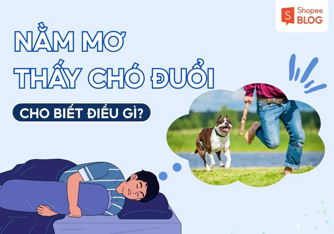 Nằm Mơ Thấy Chó Đuổi Là Điềm Gì? Giải Mã Chi Tiết Và Con Số May Mắn 10 Chó trong phong thủy thuộc cung Tuất