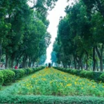 Người mệnh Mộc dễ thất bại trong chuyện tình cảm