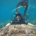 Tour Lặn bình khí tại Đảo Cù Lao Chàm