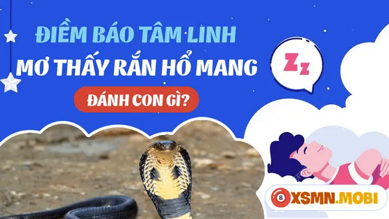 Các con số may mắn khi nằm mơ bắt được rắn hổ mang đánh con gì