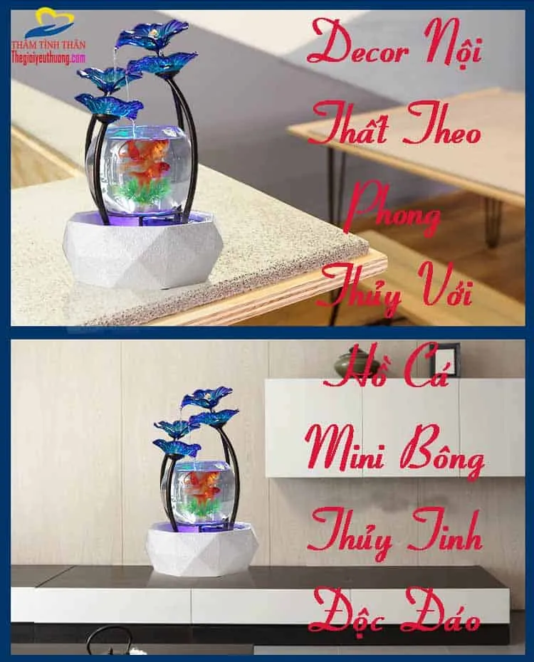 Kiến tạo Không gian nội thất theo Phong thủy với bể cá mini Bông thủy tinh
