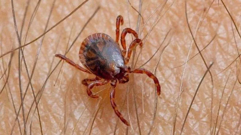 diem-bao-nao-cho-giac-mo-thay-ve-cho