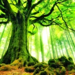 Người mệnh Mộc với khát khao vươn lên mạnh mẽ trong mọi hoàn cảnh khó khăn