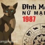 Tử vi trọn đời tuổi Đinh Mão 1987 nữ mạng luận giải chi tiết