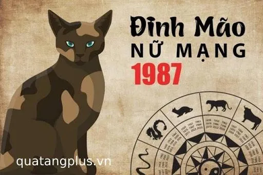 Tử vi trọn đời tuổi Đinh Mão 1987 nữ mạng luận giải chi tiết