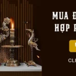 Alt: Các loại cây cảnh phong thủy mang lại may mắn và tài lộc cho gia chủ mệnh Thủy 1982. Chú thích: Việc chọn đúng loại cây hợp tuổi giúp người sinh năm 1982 cân bằng năng lượng sống và thu hút vượng khí.