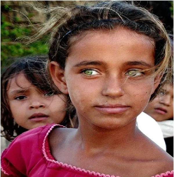 Sự đa dạng của màu mắt từ xanh ngọc bích đến vàng hổ phách