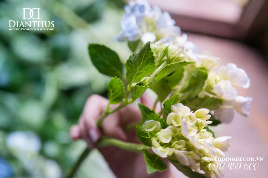 Chọn hoa ở trạng thái búp giúp hoa giữ được độ tươi lâu và nở đẹp nhất vào đúng thời gian làm lễ