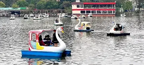 Khung cảnh thuyền đạp vịt hình thiên nga rực rỡ sắc màu trên bảng lảng khói sương mặt Hồ Trúc Bạch