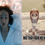 Giải mã giấc mơ thấy rắn hổ mang