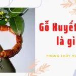 Bản chất đặc thù của dòng gỗ huyết rồng quý hiếm từ rừng già Indonesia